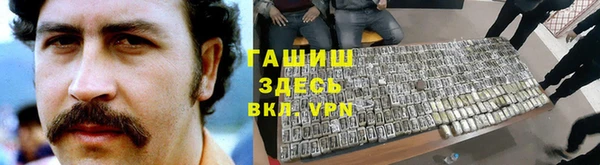 индика Алексин
