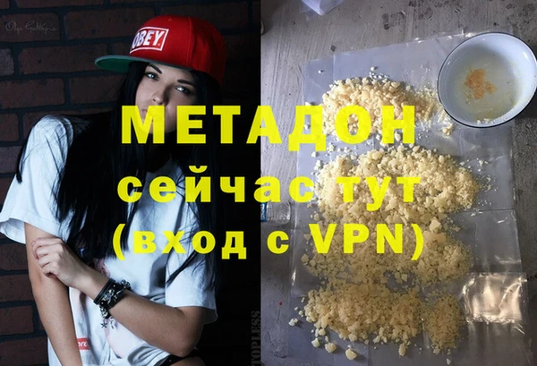 индика Алексин