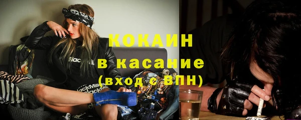 индика Алексин