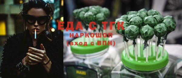 индика Алексин
