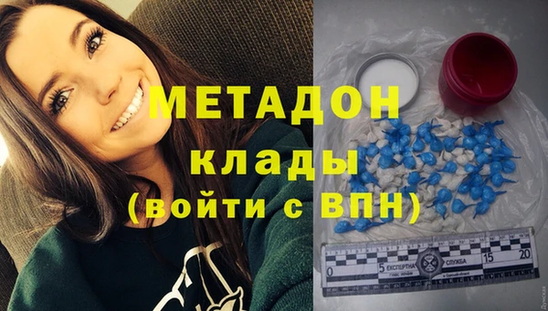индика Алексин
