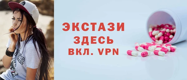 индика Алексин