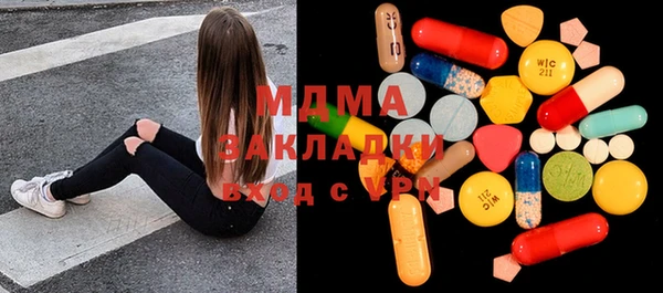 индика Алексин