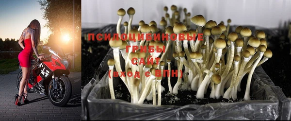 бошки Протвино
