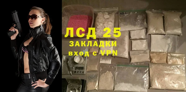 индика Алексин