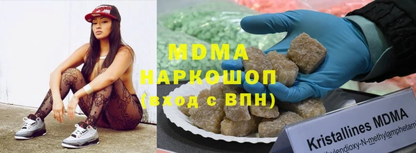 индика Алексин