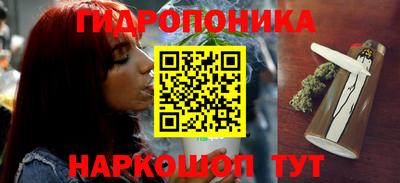 jwh Кинель