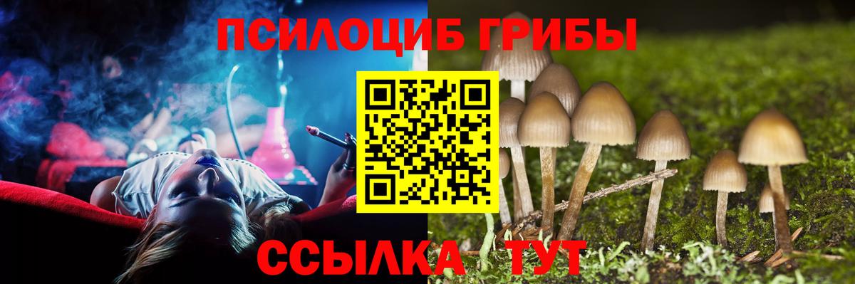 Санкт-Петербург  Галлюциногенные грибы GOLDEN TEACHER  Вход с VPN  Псилоцибиновые грибы GOLDEN TEACHER 