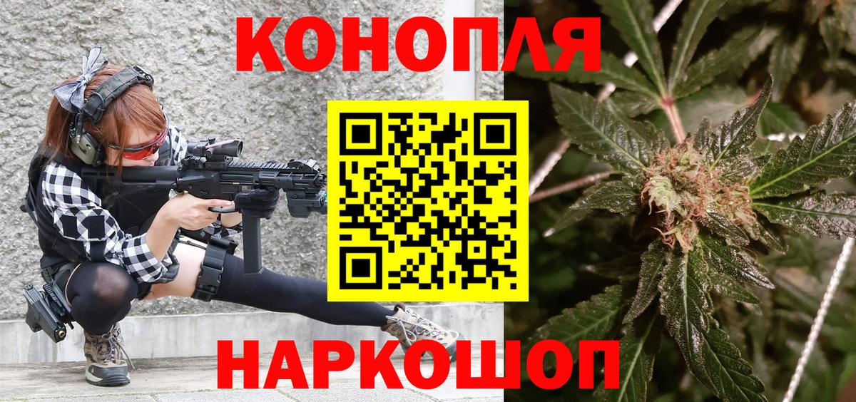 Канабис сатива Санкт-Петербург